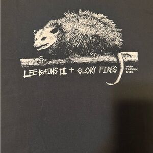 Lee Bains III + Glory Fires, indie sleeze